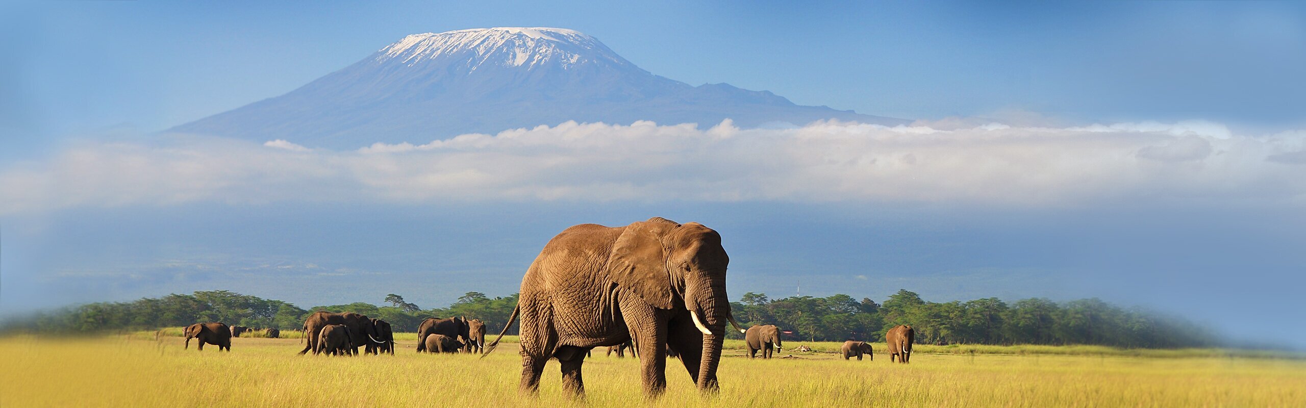 12-Day Kenya Best Safari Tour with Amboseli
